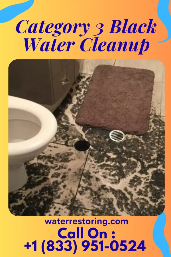 Category 3 Black Water Cleanup in Killdeer, ND
