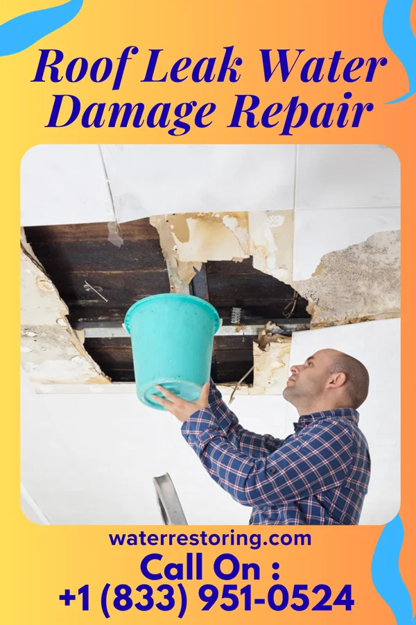 Roof Leak Water Damage Repair in Killdeer, ND